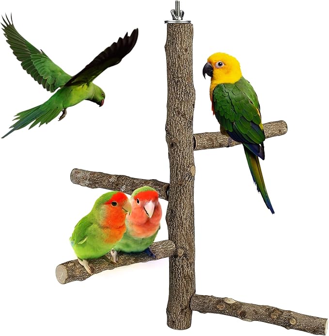 Bird Perch Stand Toy, Natural Wood Parrot Perch Bird Cage Branch Perch Accessories for Parakeets Cockatiels Conures Macaws Finches Love Birds(L: 13.8" Length)-PawvioPets