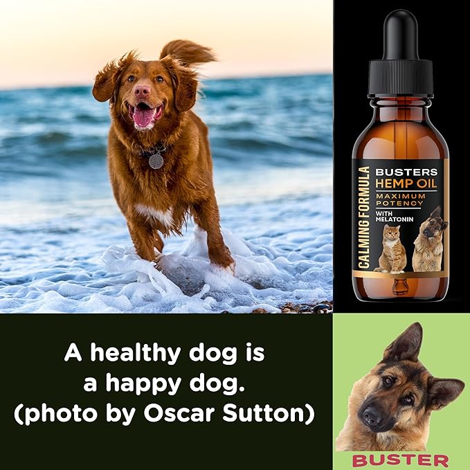Busters Calming Hemp Oil, Enriched with Melatonin for Dogs, Cats, Pets, Sleep, WEL Being and an Ideal Omega Ratio, Adrenal and Cushings Support-PawvioPets