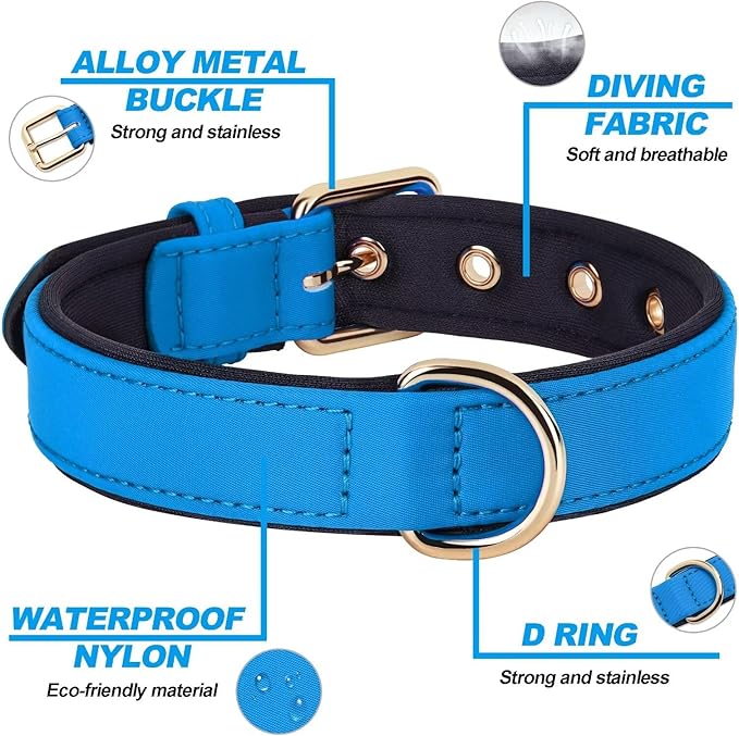 Didog Soft Padded Dog Collars for Medium Dogs, Lightweight and Breathable Dog Collar with Metal Buckle, Blue, L-PawvioPets