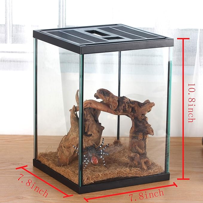 crapelles Black Small Vertical Insect GlassTerrarium, 7.8x7.8x10.8'' Reptile Tank, for Tarantula Larvae Caterpillar Frog Snail Spider Hermit Crab Habitat Container House Cricket Breeding Box-PawvioPets