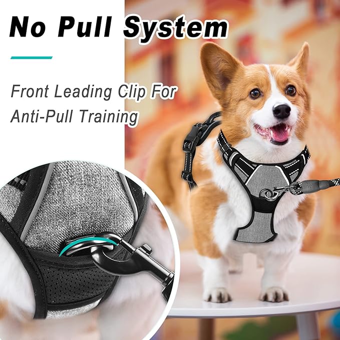 BARKBAY No Pull Dog Harness Large Step in Reflective Dog Harness with Front Clip and Easy Control Handle for Walking Training Running(Flint Gray,L)-PawvioPets