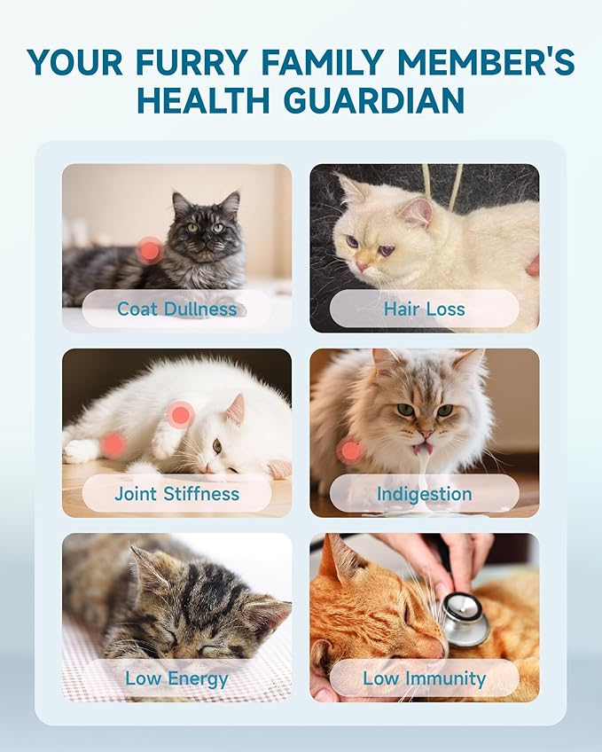 Collagen for Cats - Hip and Joint Supplement, Digestive & Immunity Support, Skin & Coat Health, Liquid Collagen for Cats with MSM, Glucosamine, Coconut Oil, Vitamin E, Roast Chicken Flavored, 60ml-PawvioPets