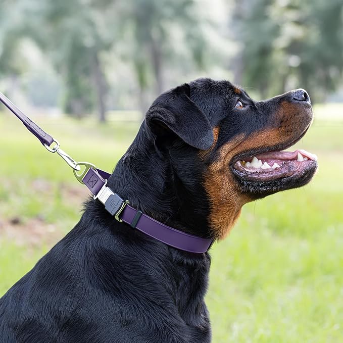 Dogline Biothane Waterproof Dog Collar with Herm Sprenger Black Stainless Steel Quick Release Buckle – Heavy Duty Tactical Durable Collar for Dogs – Comfortable and Safe Pet Collar W1 L 15-25" Purple-PawvioPets