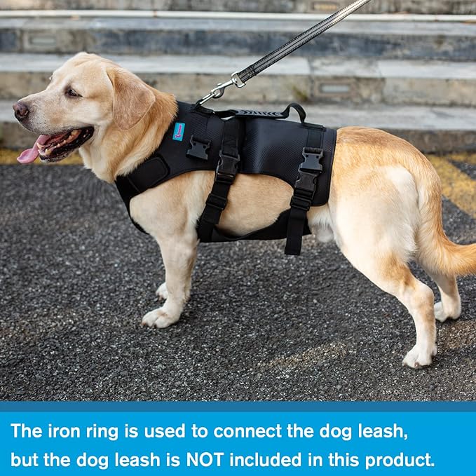 Dog Lift Harness, Rehabilitation Lifts Vest for Dogs, Support & Recovery Sling, Adjustable Breathable Lifting Straps for Old, Joint Injuries, Arthritis, Paralysis Dogs Walk (2XL, Black)-PawvioPets