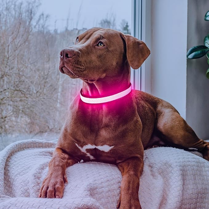 Flashseen LED Dog Collar, USB Rechargeable Light Up Dog Collar Lights, Adjustable Comfortable Soft Mesh Safety Pet Collar for Small, Medium, Large Dogs(Medium, Candy Pink)-PawvioPets