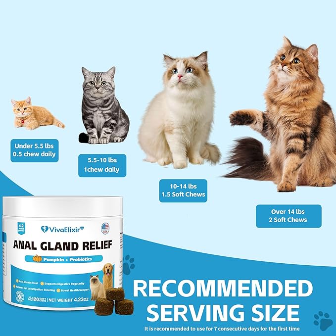 Cat Constipation Relief - Chewable Tablets - with Pumpkin, Psyllium Husk, Prebiotics & Probiotics - Supports Gut Hydration, Bowel Regularity & Immune Health - 120 Tablets-PawvioPets