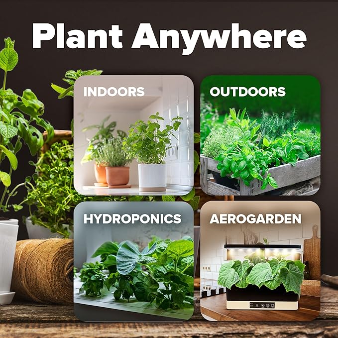 20 Heirloom Vegetable Seeds - 10,000+ Survival Seeds and Emergency Prepper Gear - Non GMO Vegetable Seeds for Planting Home Garden Variety Pack-PawvioPets