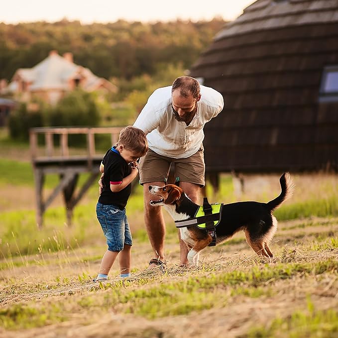 Dogline Dog Harness, Reflective No-Pull Adjustable Vest with Handle for Walking, Training, Breathable, No - Choke Harness for Small, Medium or Large Dogs Room for Patches Girth 22"-28" in Lime Green-PawvioPets