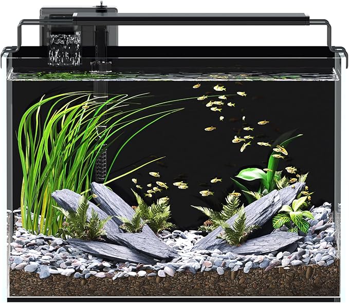 5 Gallon Fish Tank Aquarium Kit with Filter, LED Light with Timer, Siphon Vacuum Cleaner, Lid, Self-Cleaning Glass Rimless Betta Tank-PawvioPets