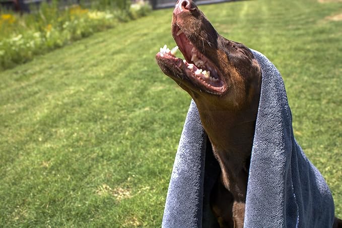 Devil Dog Premium Pet Drying Towel, Ultra-Soft, Highly Absorbent Microfiber Bath Towel for Dogs, Cats, and Other Animals - Gray, Small 16" x 24" 1200GSM 80% 20% Blend-PawvioPets