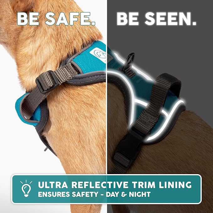 Embark Adventure Dog Harness, Reflective Trim No Pull Dog Harness Medium Sized Dogs - Military Grade Nylon, Front Clip with Gel Lined Handle.-PawvioPets