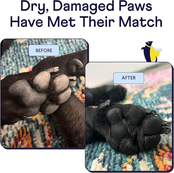 Finn Paw Hero | Natural Revitalizing Dog Paw Balm | Protect, Nourish & Repair from Wear, Damage & Dryness - 1.75 oz-PawvioPets