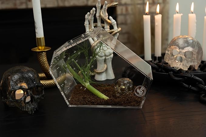 Coffin Shaped Jumping Spider Enclosure 9.5”x7.5”x5” Tarantula Enclosure Reptile Terrarium w/Sliding Magnetic Door. Great Reptile Tank Acrylic Aquarium Spider Box for Terrestrial or Arboreal Animal.-PawvioPets