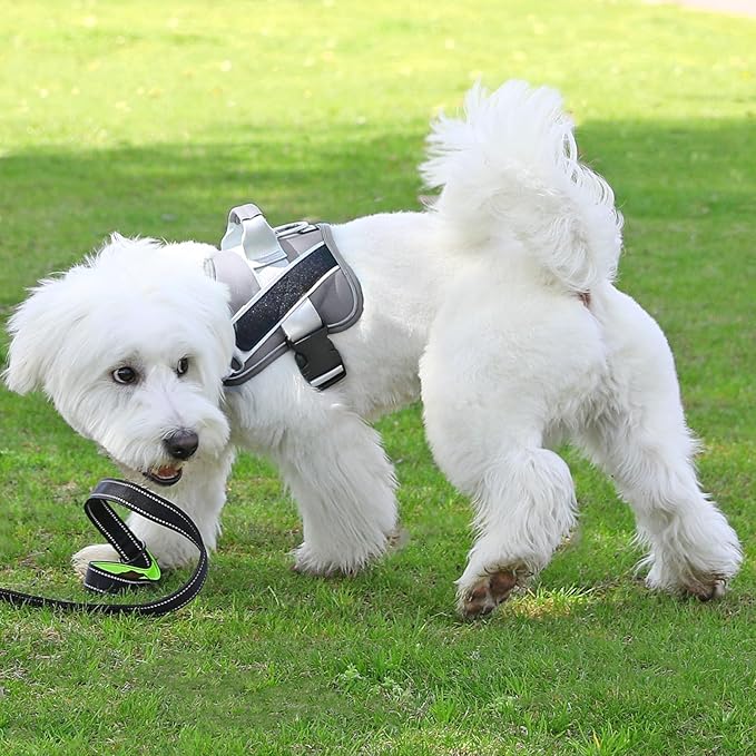 Bolux Dog Harness, No-Pull Reflective Dog Vest, Breathable Adjustable Pet Harness with Handle for Outdoor Walking - No More Pulling, Tugging or Choking-PawvioPets