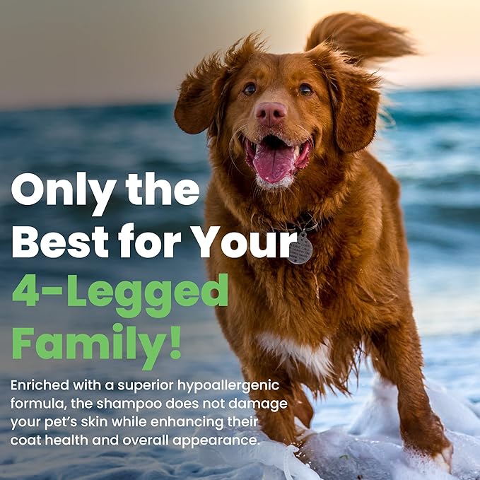 Best Shot Scentament Spa Seasonal Facial & Body Wash, Harvest Apple, 16 oz-PawvioPets