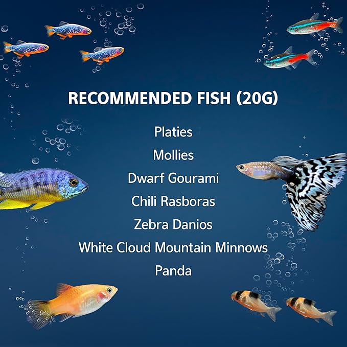 Aqueon 20 Gallon Aquarium Starter Kit with SmartClean Filtration and LED Lighting for Tropical Freshwater Fish-PawvioPets