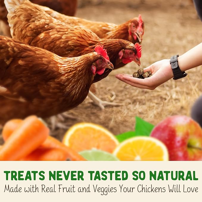 Doc Eddie’s Backyard Chicken Supplement - Plant-Based Treats for Egg Laying Hens - Poultry Feed Enrichment Made with Omega 3 Rich Algae - Essential for Immune Health, Feather Regrowth, Egg Production-PawvioPets