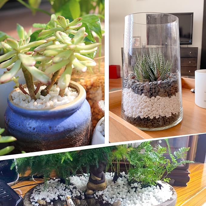 45lb White Cactus Pea Gravel Rocks,1/4 Inch Pebbles for Indoor Plants, Natural Succulent Rock and River Rocks Decorative for Aquariums, Vases, Outdoor Gardening, Top Dressing for Potted Plants-PawvioPets