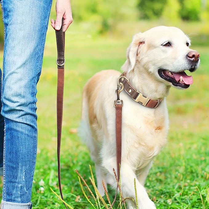 Didog Soft PU Leather Dog Collar for Large Dogs,Classic Adjustable Dog Collars with Quick Release Metal Buckle,Easy Clean and Comfortable with Nylon Lining,Brown,L Neck 15-23"-PawvioPets