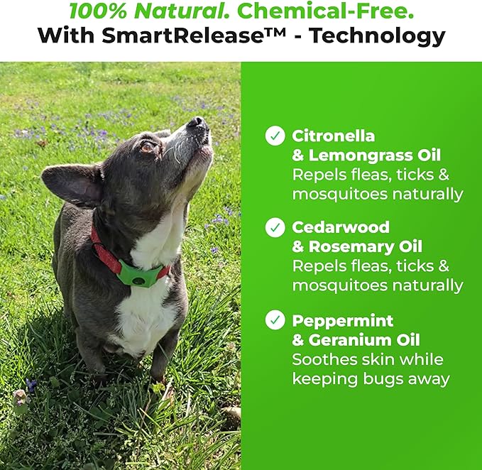 FurLife Green Dog Tag, Flea and Tick Prevention for Dogs - Waterproof Pendant for Collar, Safe for All Breeds-PawvioPets