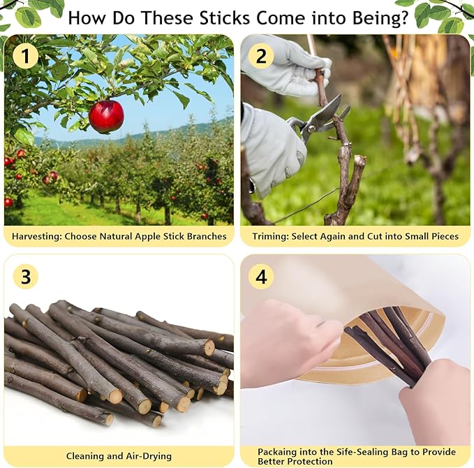 600g Organic Apple Sticks Small Animals Molar Wood Treats Toys for Chinchillas Guinea Pig Rabbits Hamster Gerbil Parrot Bunny Chew Stick Toys, 21.2 OZ-PawvioPets