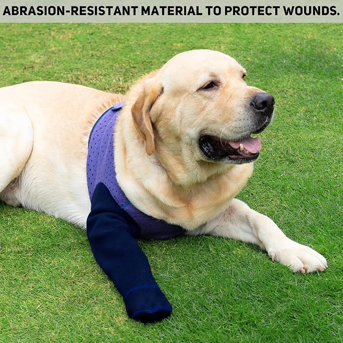 COODEO Dog Socks to Prevent Licking Paws, Healing Boots & Paw Protectors with Non-Slip Bottoms for Wound Protection, Waterproof Sleeve Shoes for Licking（Purple，M_Right-PawvioPets