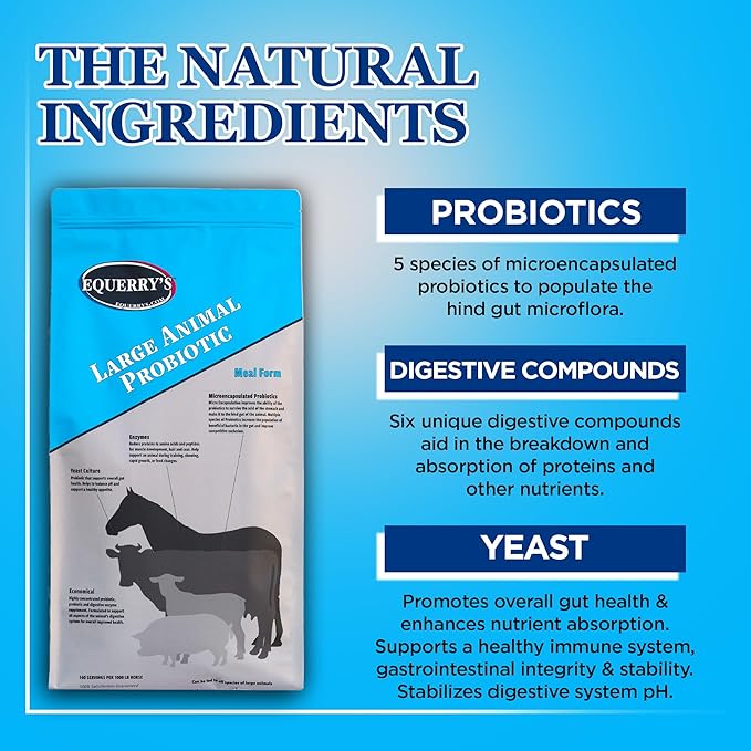 Equerry's Large Animal Probiotic | Supplements for Gut Health and Nutrient Absorption | Probiotics and Digestive enzymes for Horses, Cows, Goats, Sheep, Pigs, 160 Feedings (20lbs) for 1000 lb Animal-PawvioPets