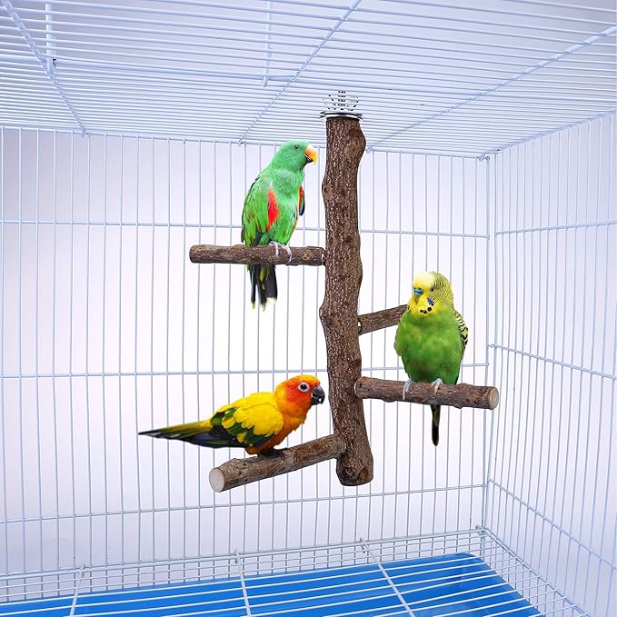 Bird Perch Stand Toy, Natural Wood Parrot Perch Bird Cage Branch Perch Accessories for Parakeets Cockatiels Conures Macaws Finches Love Birds(L: 13.8" Length)-PawvioPets