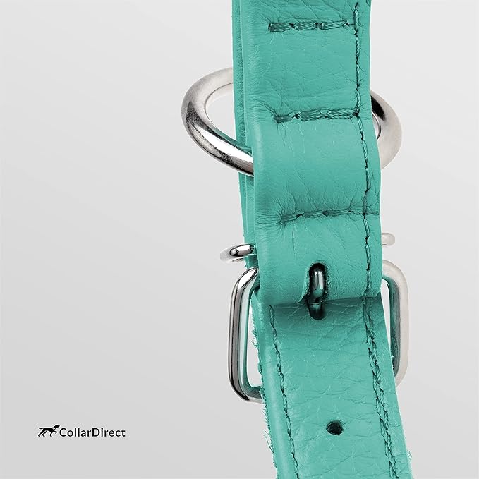CollarDirect Rolled Leather Dog Collar, Soft Padded Round Puppy Collar, Handmade Genuine Leather Collar Dog Small Large Cat Collars 13 Colors (13-16 Inch, Mint Green Textured)-PawvioPets