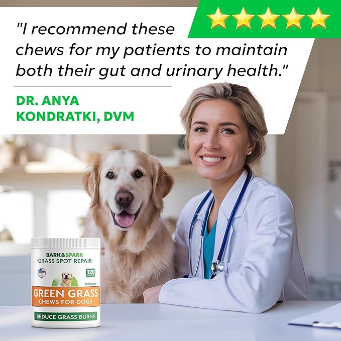 BARK&SPARK Green Grass Chews - Pee Grass Spot Saver Caused by Dog Urine - Urine Neutralizer for Lawn, Gut Health Probiotics & Digestive Enzymes,Lawn Burn from Dog Urine, Grass Burn Spot Chews, Rocks-PawvioPets