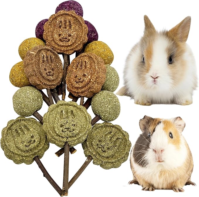 Fhiny Rabbit Chew Toys, 15 PCS Natural Bunny Lollipop Chew Sticks Handmade Guinea Pig Molar Treats for Teeth Small Animals Snacks for Guinea Pig Bunny Chinchilla Hamster Gerbil Teeth Care-PawvioPets