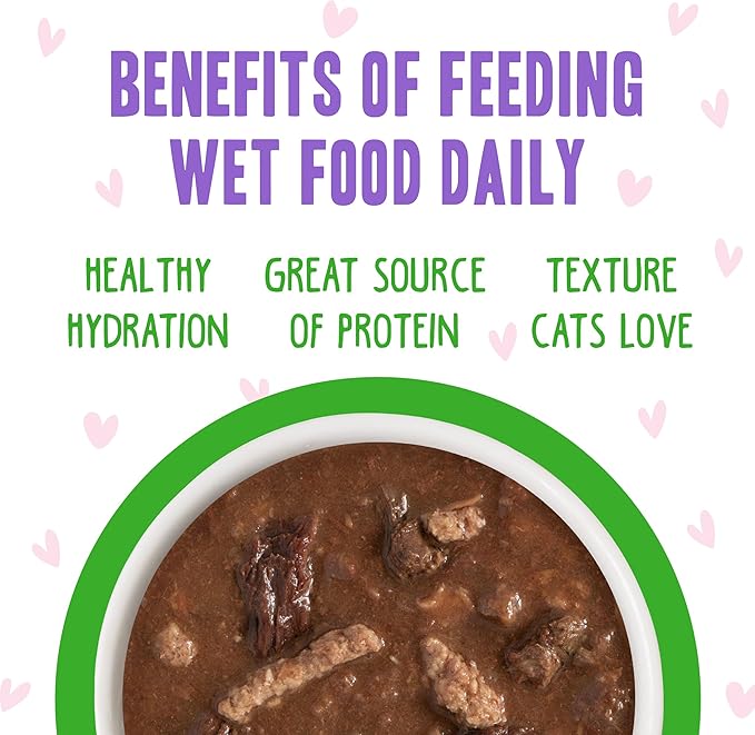 B.F.F. OMG - Best Feline Friend Oh My Gravy!, Tuna & Lamb Lights Out with Tuna & Lamb, 5.5oz Can (Pack of 8)-PawvioPets