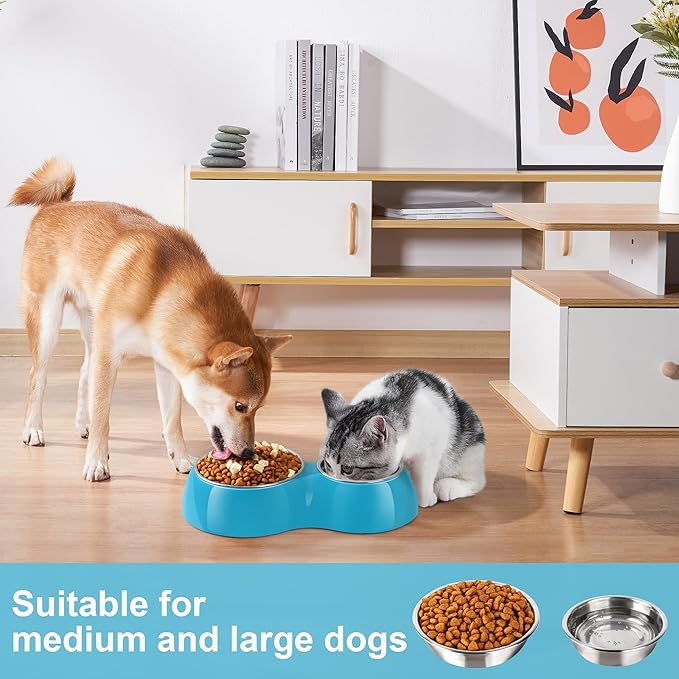 Elevated Dog Bowls Set - Non-Slip Raised Pet Feeder with Medium (2 Cups) & Large (4 Cups) Stainless Steel Bowls - Includes Durable Resin Stand for Puppies, Adult Dogs & Cats - Blue-PawvioPets