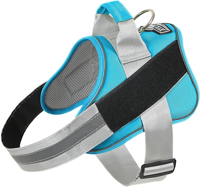 Bolux Dog Harness, No-Pull Reflective Dog Vest, Breathable Adjustable Pet Harness with Handle for Outdoor Walking - No More Pulling, Tugging or Choking (OceanicBlue, Small (Pack of 1))-PawvioPets