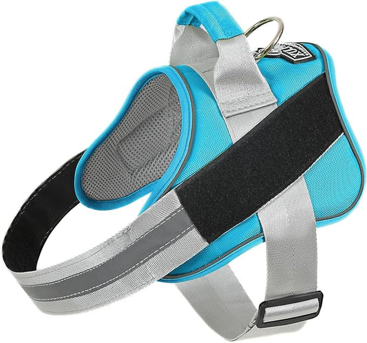Bolux Dog Harness, No-Pull Reflective Dog Vest, Breathable Adjustable Pet Harness with Handle for Outdoor Walking - No More Pulling, Tugging or Choking (OceanicBlue, Small (Pack of 1))-PawvioPets