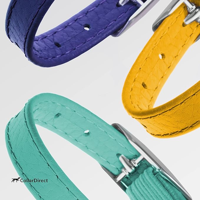 CollarDirect Leather Cat Collar with Removable Bell – Safety Kitten Collar with Elastic Strap (Yellow, 15 - 18 cm)-PawvioPets