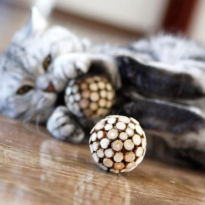 3PCS Cat Ball Toy,Silvervine Ball with Catnip Gall Fruit silvervine Sticks Powder Inside,Catnip Toys for Indoor Cats,Kitten Cleaning Teeth Cat Chew Toy-PawvioPets