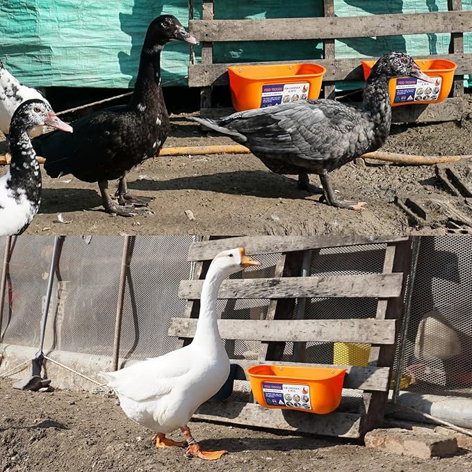 Goovilla Chicken Feeder Waterer, Hanging or Screw-in Fence Feeder with Clips, 2 Pack 5 Quart Goat Feeder Supplies, Duck Piglet Sheeple Coop Dog Livestock Poultry Plastic Feeder Trough Bucket, Orange-PawvioPets