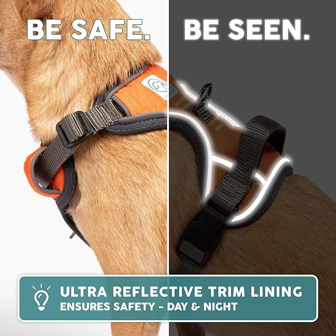 Embark Adventure Dog Harness, Reflective Trim No Pull Dog Harness for Large Dogs - Military Grade Nylon, Front Clip with Gel Lined Handle.-PawvioPets