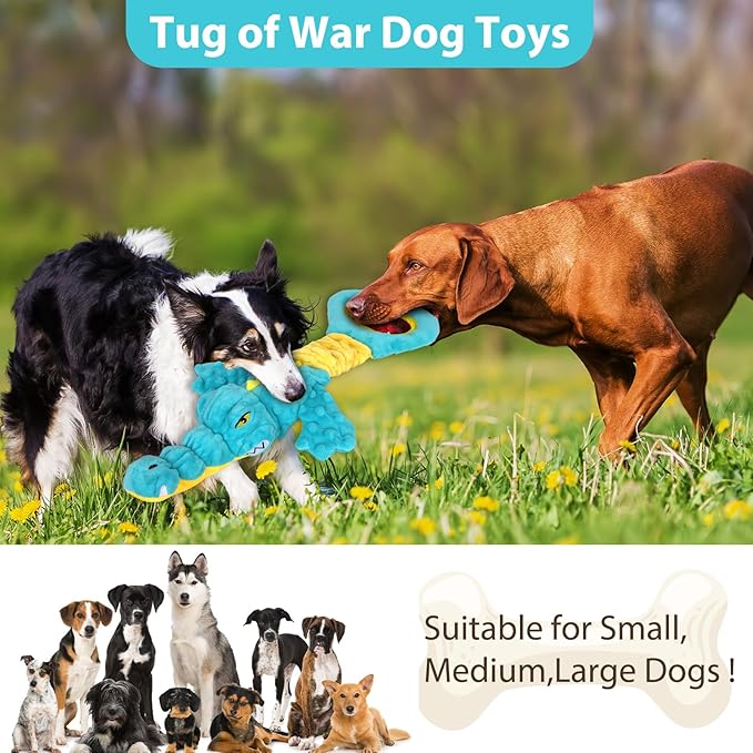 Dog Toys Cute Alligator Dog Toy Tough Plush Puppy Toy for Playtime, Training & Tug of War- Interactive Squeaky & Crinkle Chew Toy for Small to Large Dogs-PawvioPets