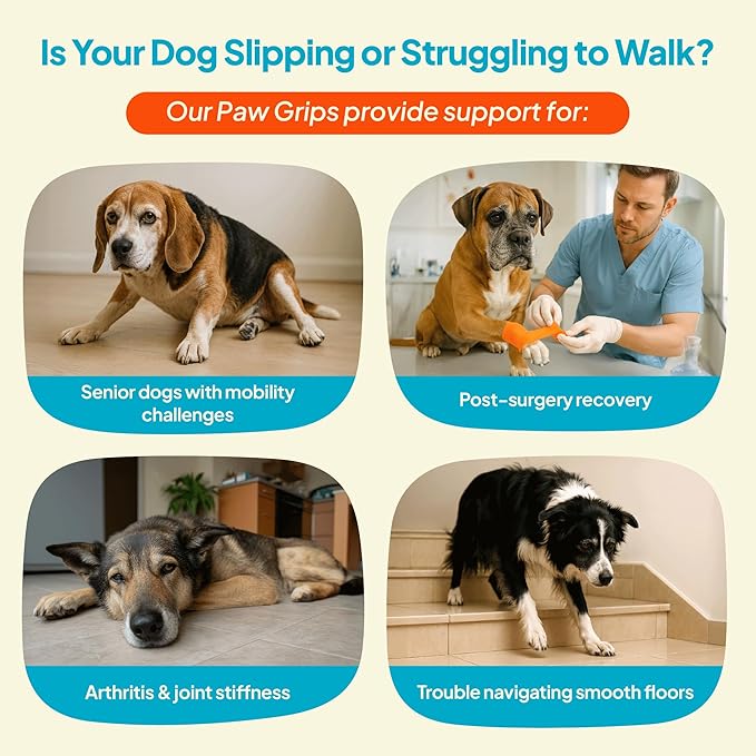 Anti-Slip Paw Grips – Non-Slip Dog Paw Traction Pads for Senior & Injured Dogs, Prevents Slipping on Hardwood & Tile Floors, Strong Adhesive, 24 Pcs (Sizes S-XXL)-PawvioPets