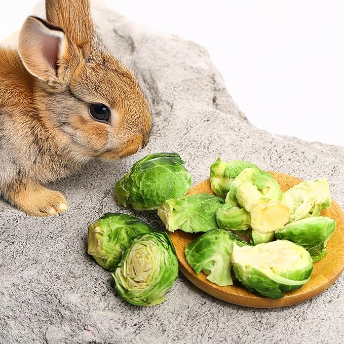 Abizoo Freeze Dried Brussels Sprouts Rabbit and Hamster Chew Treats Resealable Jar for Hamsters Bunny Guinea Pigs Groundhogs Natural Fiber Vitamin Snacks-PawvioPets