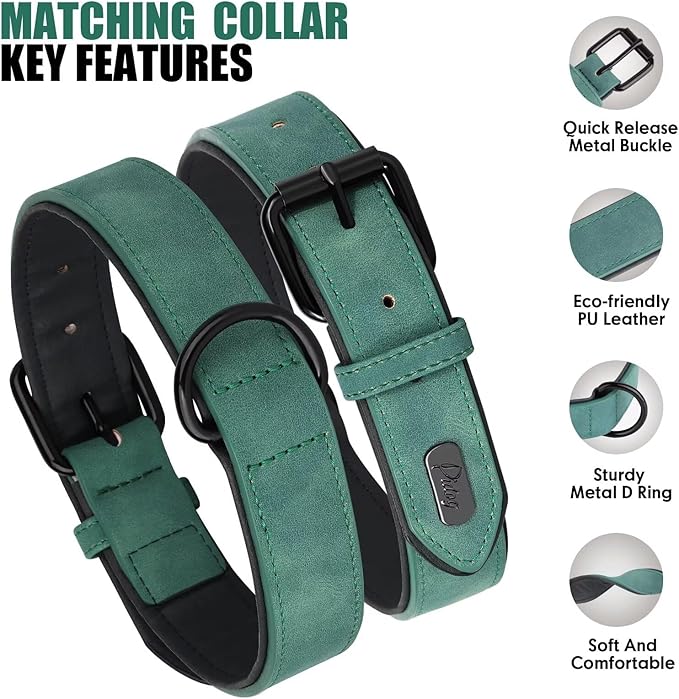 Didog Soft Padded Leather Dog Collar and Leash Set, Adjustable Dog Lead and Collar Set with Metal Buckle, Breathable Pet Collars with 4FT PU Leather Leash for Small Medium Dogs, Green, M-PawvioPets