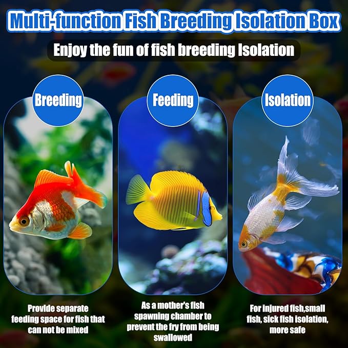 2 Pcs Breeder Box for Fish Tank Aquarium Breeder Separation Net Breeding Box with Suction Cup for Small Fish Shrimp Clownfish Guppy(White,M)-PawvioPets