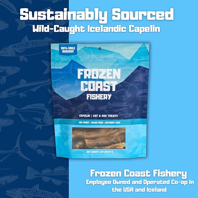 Frozen Coast Capelin Cat & Dog Treats- Single-Ingredient, All-Natural, High-Protein, Omega-3s, Fish Snacks (3 oz Bag)-PawvioPets