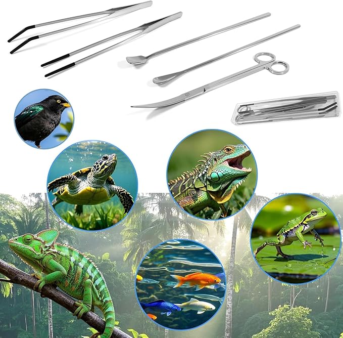 5 Pcs Reptile Feeding Tools Set with Silicone Tips - Extra Long Straight&Curved Tongs, Spoons, Scissors - Stainless Steel Terrarium Feeder Kit for Bearded Dragons, Lizards, Snake, Spiders, Aquarium-PawvioPets
