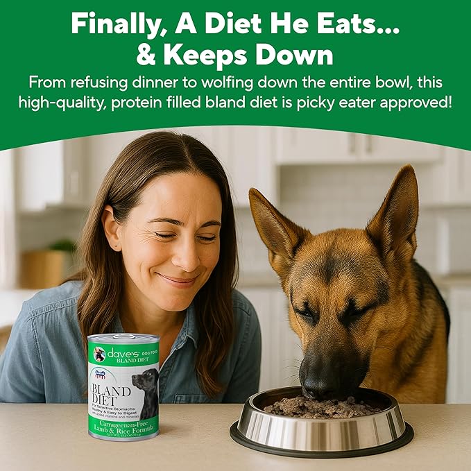 Dave's Pet Food Bland Dog Food (Lamb & Rice), Canned Wet Dog Food for Sensitive Stomachs, Gluten-Free, Digestive Care, 13.2 oz (Case of 12)-PawvioPets