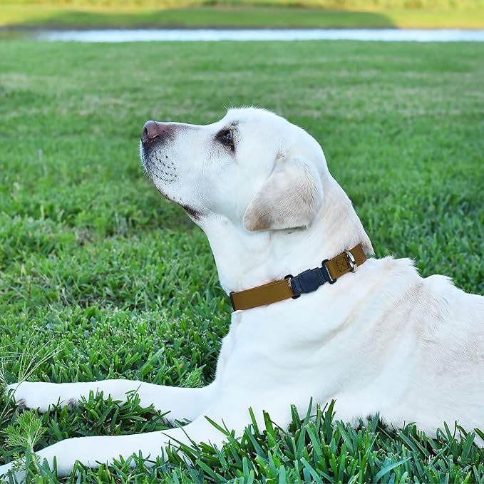 Dogline Biothane Waterproof Dog Collar with Herm Sprenger Stainless Steel Quick Release Buckle – Heavy Duty Tactical Durable Collar for Dogs – Comfortable and Safe Pet Collar, W 3/4" L 12-19", Brown-PawvioPets