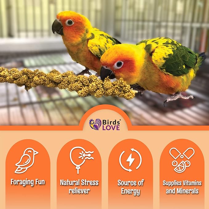 Birds LOVE Wholesome & Lovely Spray Millet Non-GMO for Birds Cockatiel Lovebird Parakeet Finch Canary All Parrots Healthy Treat - 2LBS-PawvioPets