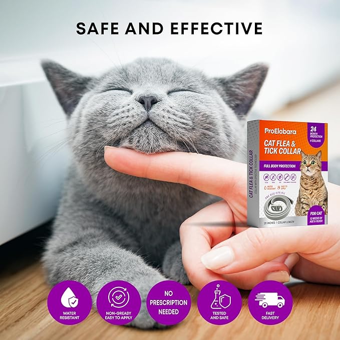 Flea and Tick Prevention Collars for Cats: Effective Pet Flea & Tick Treatment for Cats - Waterproof Adjustable Flea Tick Collars for Large & Small Cat, Outdoor Fleas Ticks Control for Kittens 4 Pack-PawvioPets
